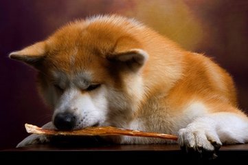 Bitcoin钱包安卓版